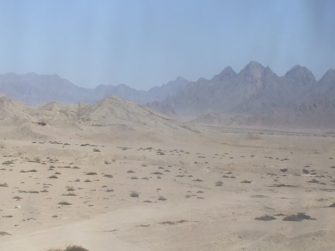 sinaidesert