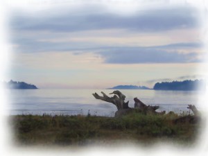 my digital photo and painting